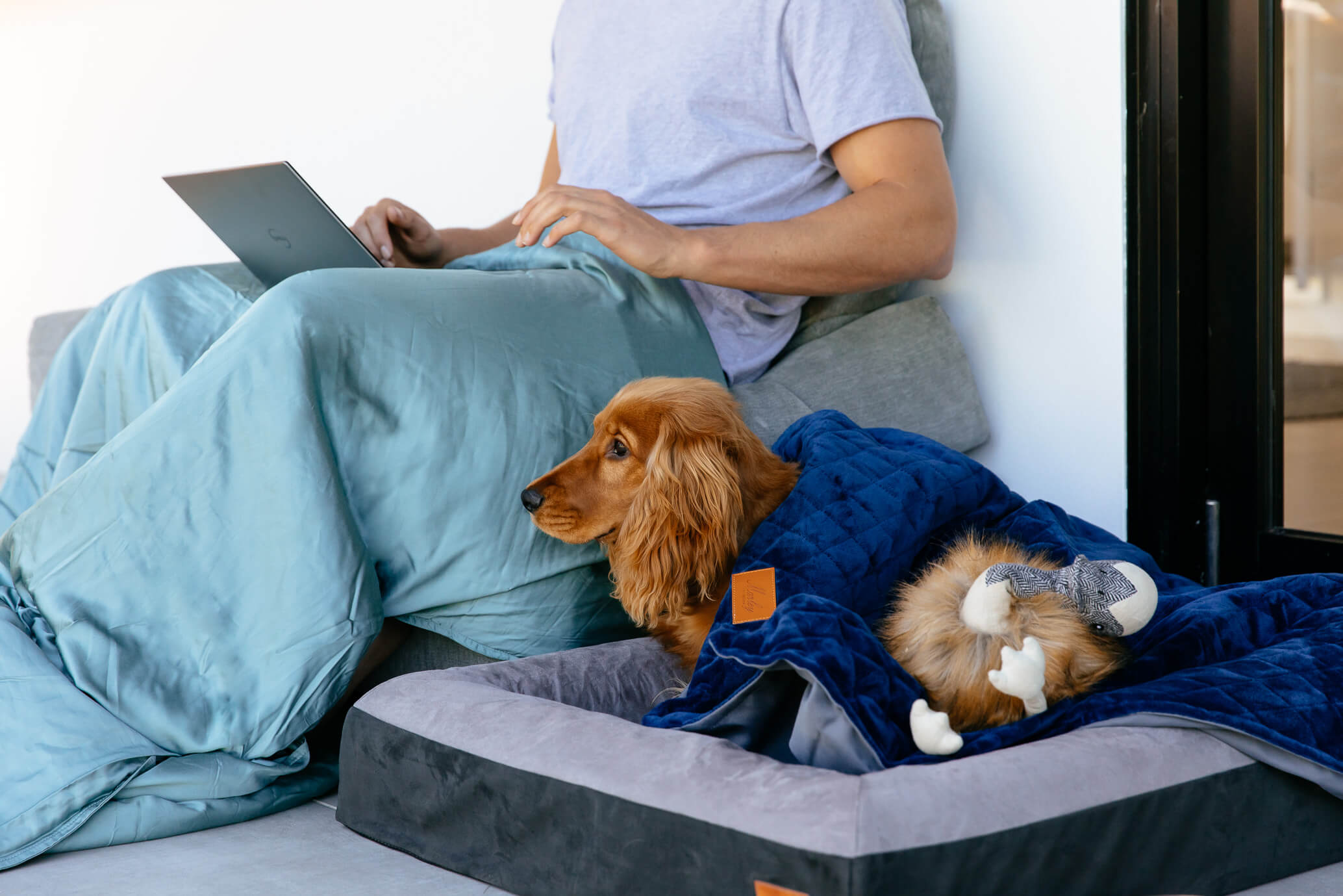 A Weighted Blanket For Dogs And Pets